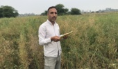 آغاز برداشت پروژه تحقیقاتی تعیین سازگاری ارقام و لاینهای بهاره کلزا در اقلیم گرم خشک