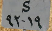 معرفی رقم (لاین 19-92-s) جهت کاشت در مناطق گرم و کم آب استان کرمان (خصوصاً در کاشتهای تاخیری)