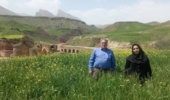 مزارع گندم و جو استان زیر ذرهبین گیاهپزشکان مرکز تات لرستان