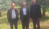 انتخاب باغ زیتون برای اجرای پروژه استفاده از مواد نگهدارنده رطوبت و کمآبیاری تنظیمشده در بخش باغبانی