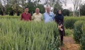 بازدید میدانی رئیس مرکز تحقیقات کشاورزی استان کرمان از ایستگاه تحقیقاتی شهید زنده‌روح (جوپار)