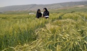 گامی نو در ارتقای پروژههای کشاورزی