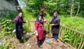 ایستادهایم چون سرو
