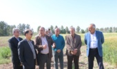 بازدید رئیس سازمان مدیریت و برنامهریزی استان کرمان از ایستگاه تحقیقاتی شهید زندهروح