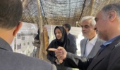 بازدید رئیس مؤسسه تحقیقات جنگلها و مراتع کشور از غرفه تخصصی مرکز تحقیقات و آموزش کشاورزی و منابع طبیعی استان سمنان