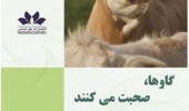 رمزهای رفاه دام