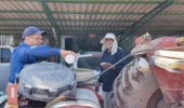 مدیریت تغذیهای، راهکار کاهش پوسیدگی و ترکخوردگی خرما