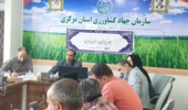 راهکارهای تقویت تولید و توزیع بذر گواهیشده در کمیته فنی بذر استان بررسی شد