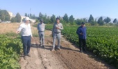 بازدید رئیس مرکز تحقیقات و آموزش کشاورزی و منابع طبیعی آذربایجان غربی از ایستگاه تحقیقات کشاورزی شهرستان خوی