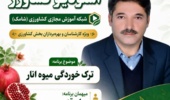 ترکخوردگی انار؛ عارضهای قابلکنترل با مدیریت علمی آب، خاک و تغذیه