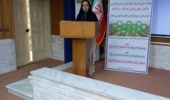 پر کردن شکاف ۴۰ تا ۵۰ درصدی عملکرد مزارع با رویکرد «دانشبنیان» / تأکید بر همافزایی ارکان ترویج برای جهش تولید