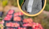 همافزایی پژوهش و اجرا؛ کلید توسعه پایدار باغبانی در لرستان