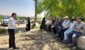 برگزاری کارگاه آموزشی «مدرسه در مزرعه» (FFS) لوبیا در شهرستان ازنا؛ گامی مؤثر در تلفیق دانش بومی و یافتههای فنی