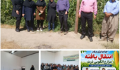روز انتقال یافتههای تحقیقاتی در مزارع الگویی ذرت شهرستان نقده برگزار شد