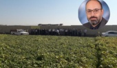 روز انتقال یافتههای تحقیقاتی در پردیس بروجرد؛ ایجاد پل ارتباطی میان پژوهش، آموزش و عرصه تولید