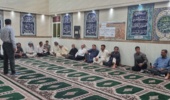 مدیریت هوشمند تغذیه؛ پیشنیاز برداشت حداکثری در مزارع برنج خوزستان