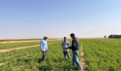 ارزیابی میدانی آفات و بیماریهای مزارع و باغات ایستگاه تحقیقات کشاورزی میامی