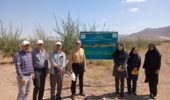 بازدید مسئولان مؤسسه ملی ژنتیک از کلکسیونهای سنجد و انگور مرکز سمنان (شاهرود)