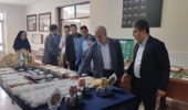 ظرفیتهای راهبردی مرکز تحقیقات ابریشم کشور روی میز نماینده مجلس