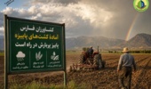 یک عامل طبیعی برای شست‌وشوی نمک از خاک