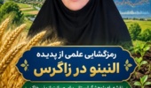 رمزگشایی علمی از پدیده النینو در زاگرس؛ نقشه راه پژوهشگر لرستانی برای صیانت از بذر، خاک و دسترنج کشاورزان