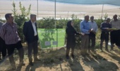 برگزاری برنامه انتقال یافتههای تحقیقاتی انار با محوریت کاربرد سایبان در باغات ساوه
