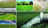 از ۱۱۲ به ۱۴۰ پروژه؛ شتاب فعالیتهای تحقیقاتی کشاورزی در آذربایجان شرقی