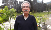 کاهش ترکیدگی میوه نارنگی پیج با مدیریت تغذیهای و محلولپاشی پتاسیم، کلسیم و بور