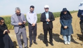 یازدهمین کاروان ترویج بهرهوری الگوی کشت ملی در پارسآباد مغان به راه افتاد
