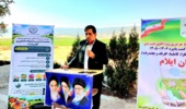 الگوی کشت ایوان باید بهسمت محصولات اقتصادی و سازگار با اقلیم حرکت کند