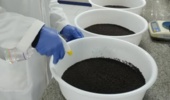 پودر سیر؛ راهکاری طبیعی برای بهبود رشد و تقویت ایمنی فیل‌ماهیان