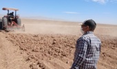 عملیات آماده سازی زمین و پایش جمعیت علفهای هرز مزرعه گندم دیم در روستای نجفآباد آشتیان