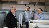 بررسی امکان تکثیر ماهی آزاد دریای خزر در مزارع پرورش ماهی عباسآباد