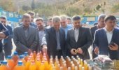 پنل تخصصی رویداد دانشبنیان سیب شیروان، امروز در محل هتل رضا شیروان برگزار شد