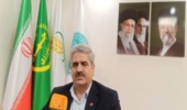 ظرفیت جایگزینی بیش از ۳.۵ میلیون تن ذرت با منابع خوراکی داخلی فراهم شد