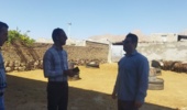 بررسی شرایط پرورش دام و ارائه توصیههای فنی در قالب طرح یاوران تولید