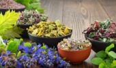 چرا گیاهان دارویی ایران به جایگاه واقعی خود در بازار جهانی نرسیده‌اند؟