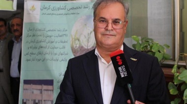 الگوی کشت جدید به کشاورزان کرمان ابلاغ شد
