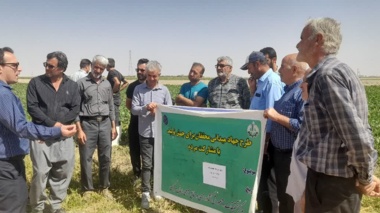 روز مزرعه چغندر قند در روستای قاسم آباد شهرستان خنداب