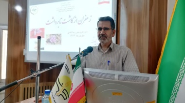 زعفران سلطان ادویه‌جات جهان و طلای سرخ