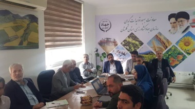 برگزاری نخستین کمیته فنی کشت چغندرقند پاییزه در گلستان