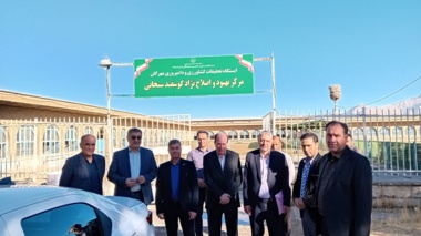 بازدید مسئولان ارشد کشاورزی از پروژه‌های نوین اصلاح نژاد و تولید محصولات دامی و زراعی در کرمانشاه