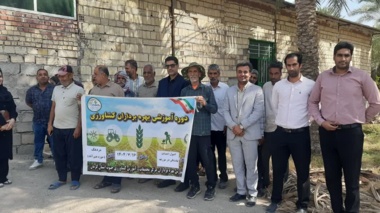دوره آموزشی ترویجی اصول احداث بادشکن در مزارع