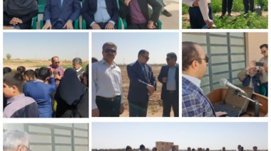 «روز انتقال یافته‌های تحقیقاتی کشاورزی در شرایط شور» در استان یزد با هدف افزایش بهره‌وری و توانمندسازی کشاورزان
