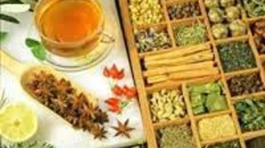 دوره تخصصی «فرصت‌های سرمایه‌گذاری در صنعت گیاهان دارویی»