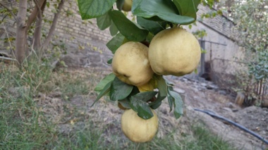 کلیپ آموزشی