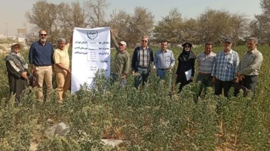 برگزاری روز مزرعه کینوا در شهر قدس