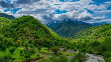 تولید نهال‌های بومی با رویکرد اقتصادی و همکاری‌های پژوهشی در راستای احیای منابع طبیعی