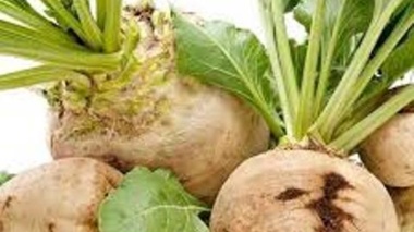 بهره‌وری مزارع چغندرقند را از طریق مدیریت دقیق علف‌های هرز ارتقاء دهید
