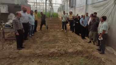 برگزاری اولین جلسه از سایت الگویی گلخانه شهرستان ری
